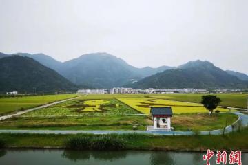 “數字鄉村” 有多火？