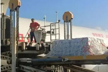 劉強東野心暴露,京東出海,不成功便成仁劉強東野心暴露,京東出海,不成功便成仁