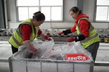 快遞年業務量首破1500億背后:拼多多引領電商西進,助推中西部包裹量激增