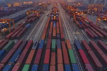 順豐控股2024財報：凈利潤破百億 國際業務仍陷虧損困局