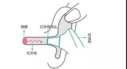 1582611327930777.jpg 微信圖片_20200225142057.jpg