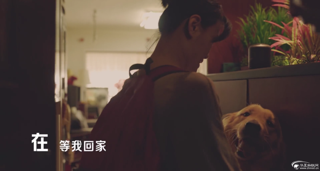 1595317723370030.png 微信圖片_20200721154714.png