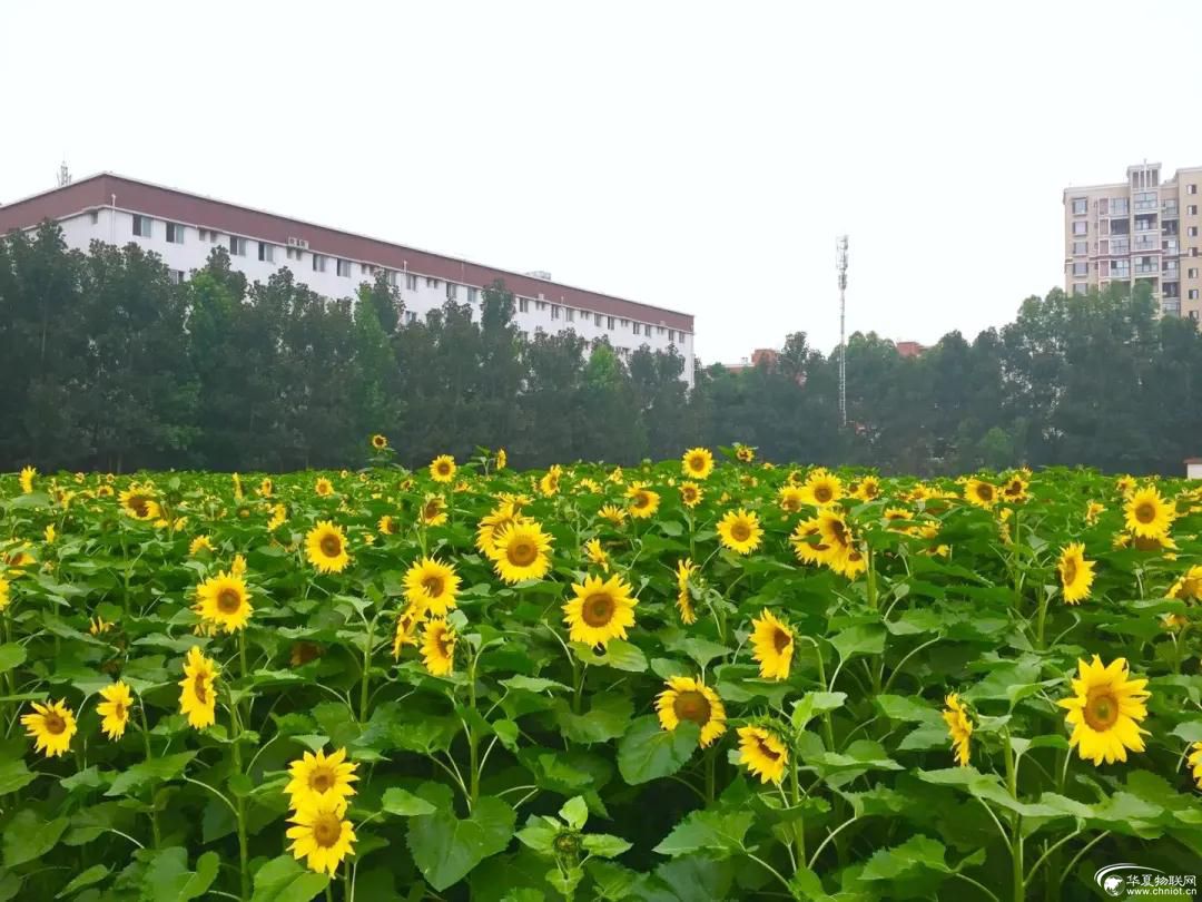 1596097889122588.jpg 微信圖片_20200730162926.jpg