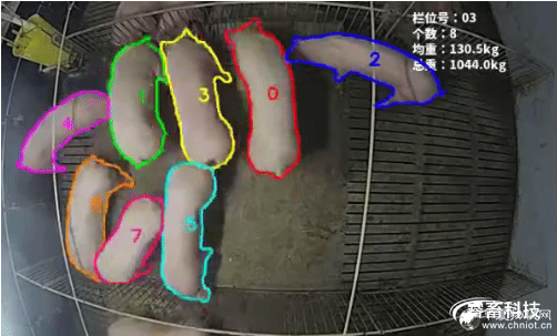1597040003886153.png image.png