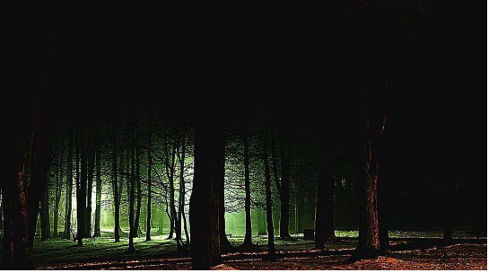 1602302214.png image.png